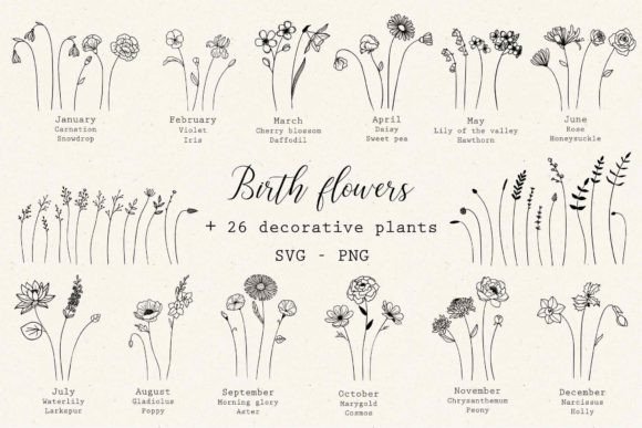 Download Boho Birth Month Flowers Bundle Svg - Svg Collection