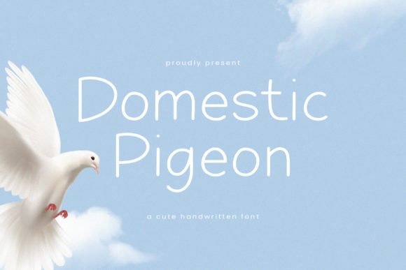 Download Domestic Pigeon - Domestic Collection